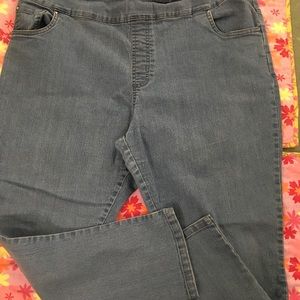 Blair Women’s Jeans Size; 16W; EUC